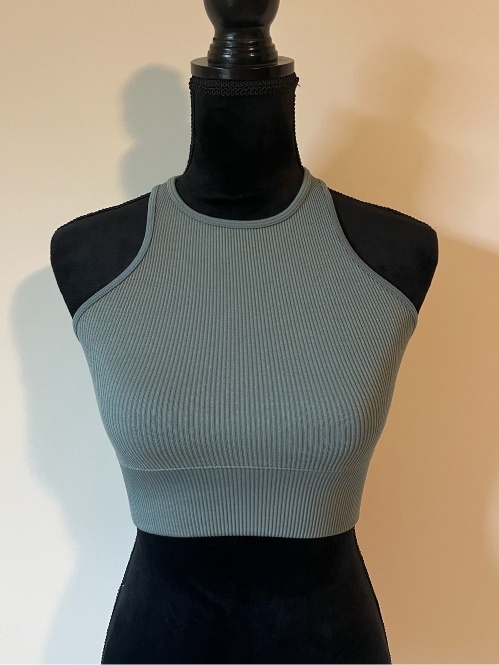 Gilly Hicks Women’s Blue Ribbed High-Neck Cropped Tank Top XS